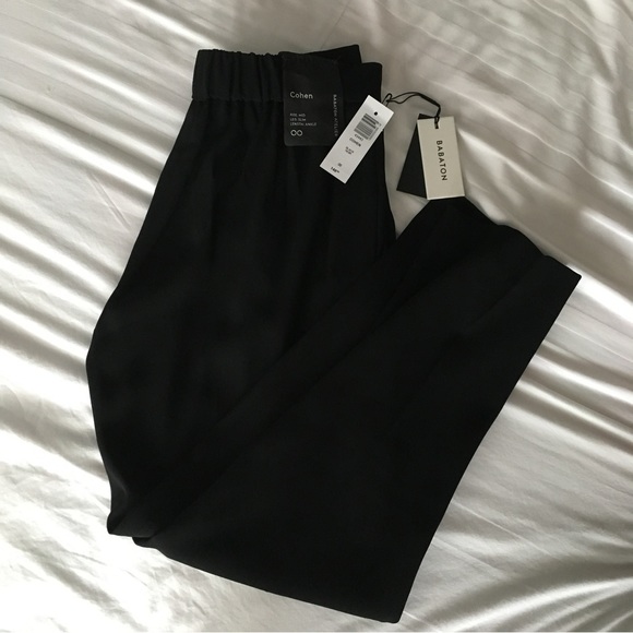 Aritzia Babaton Cohen pant - Picture 4 of 8